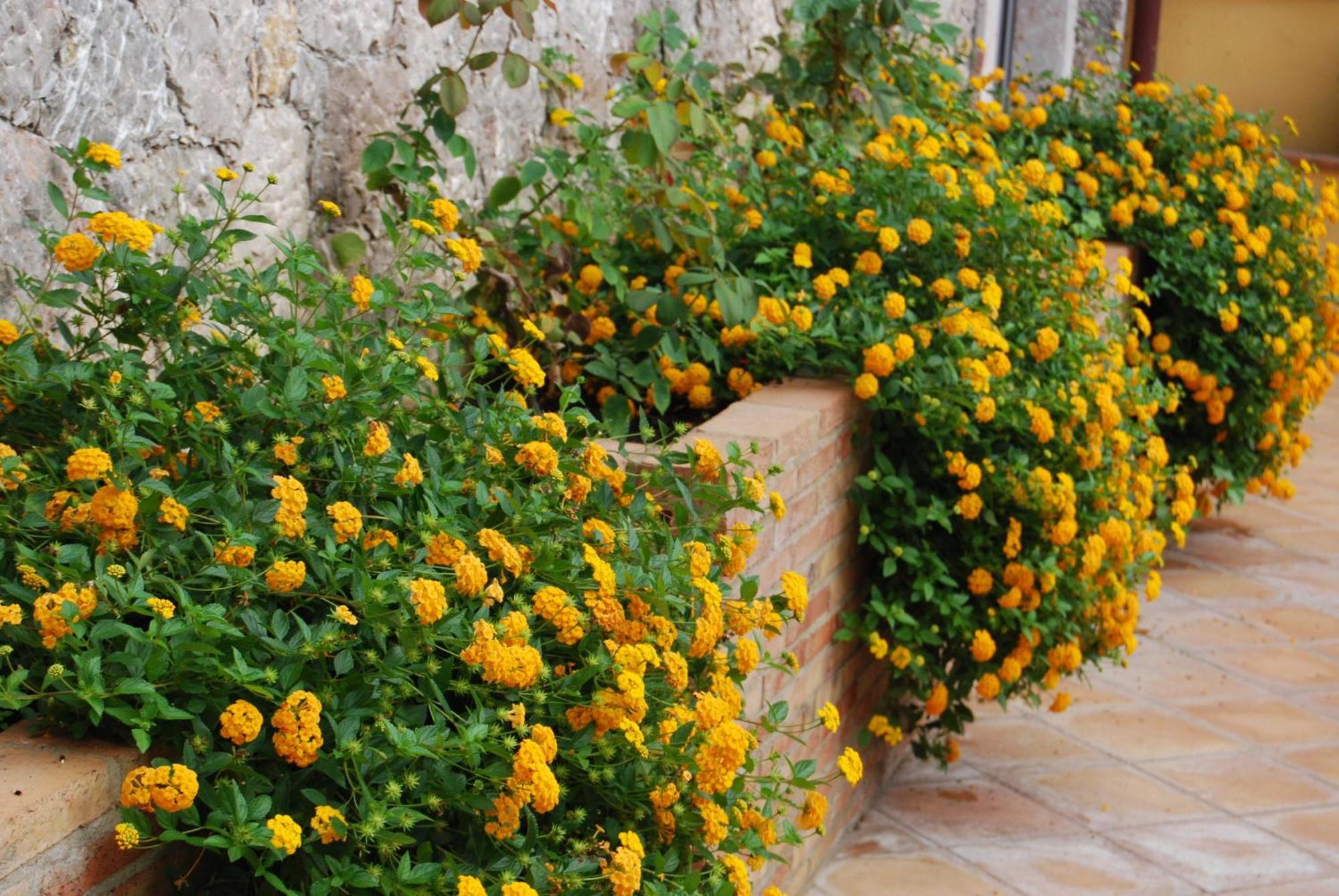 Villa Angela Taormina Kültér fotó